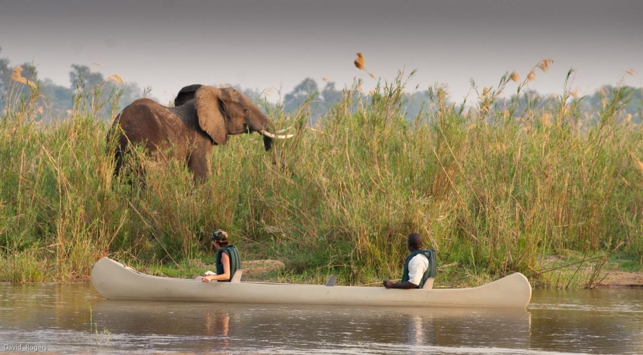 Parc national du Lower Zambezi