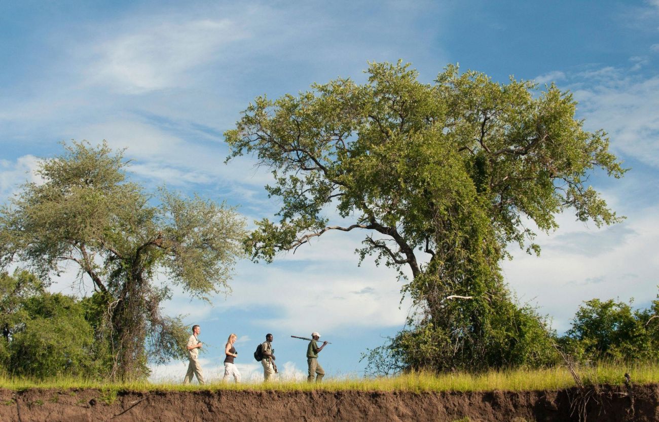 Parc national du South Luangwa - Safari  pied