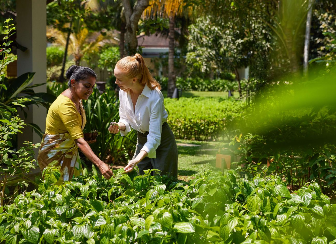 Anantara Peace Haven Tangalle Resort has a large organic farm to supply its kitchen and spa