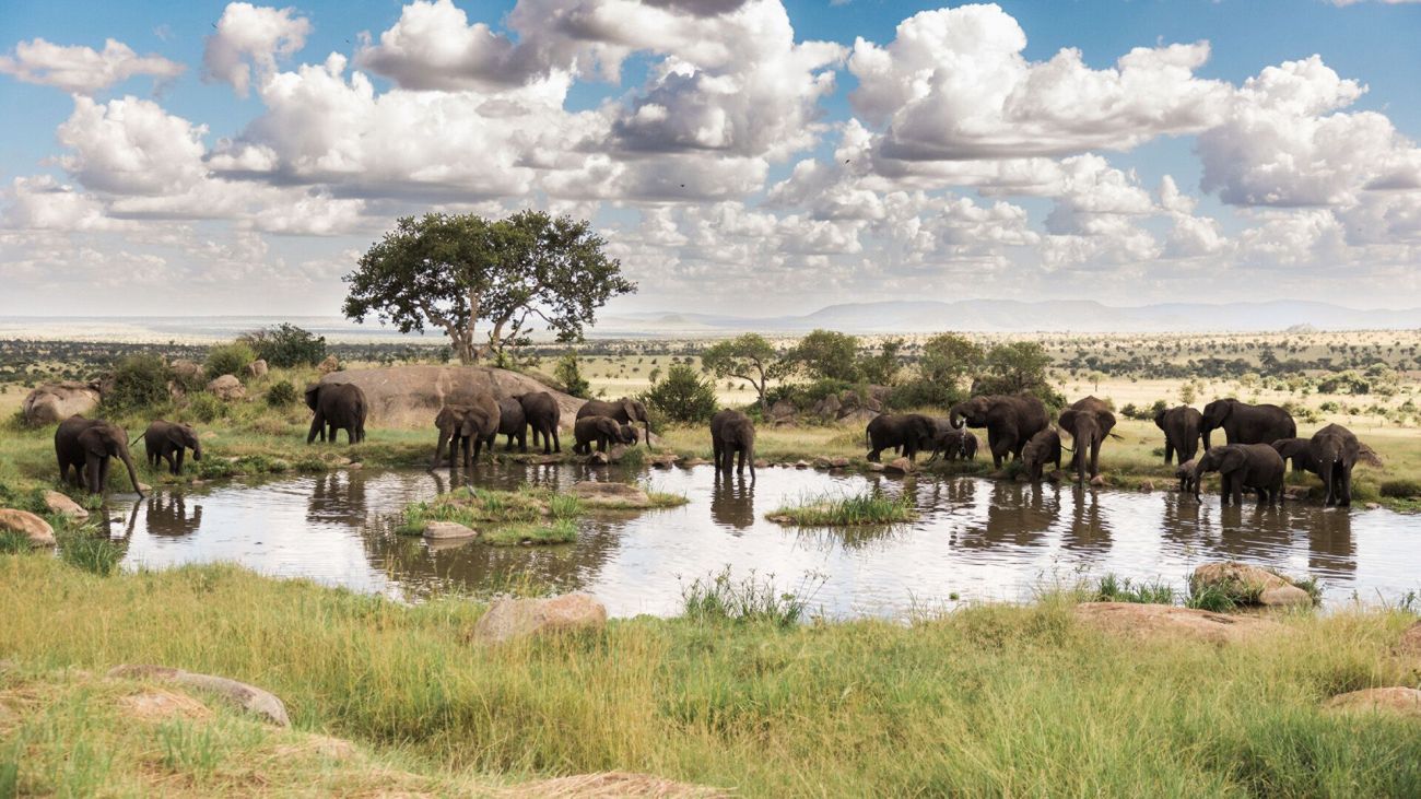 Four Seasons Safari Lodge Serengeti