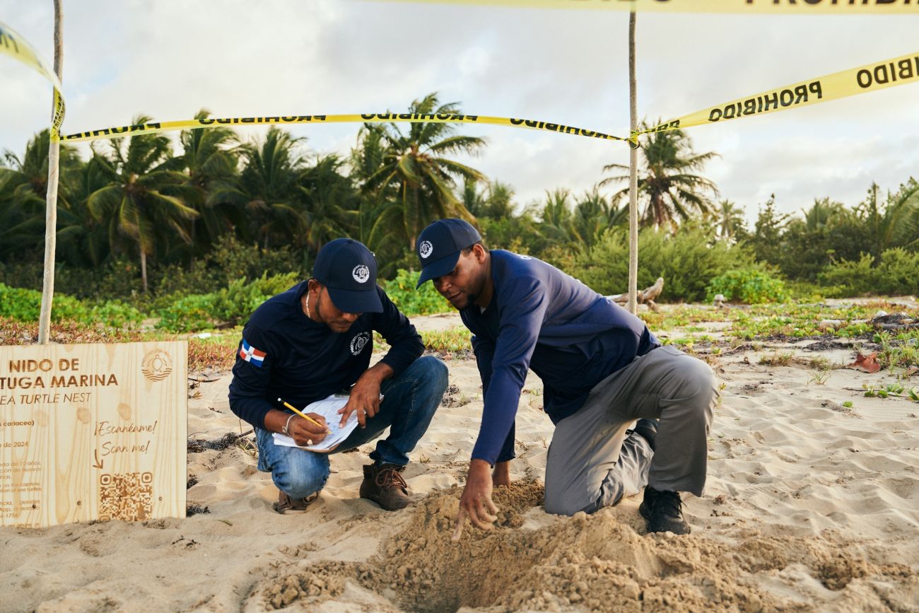 Preserve the biodiversity with Club Med through turtle nest protection activities